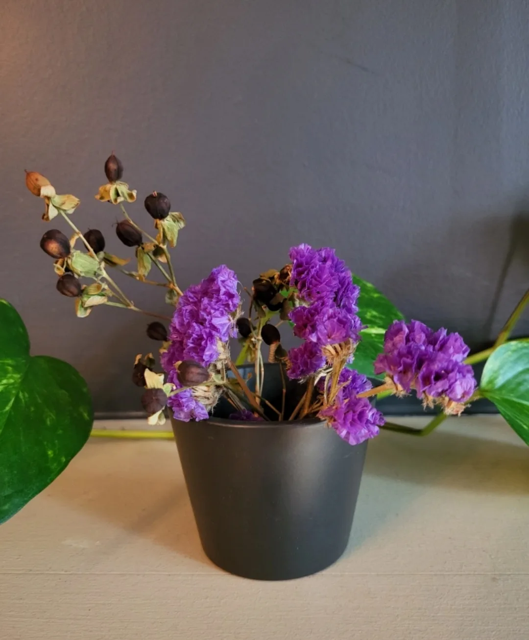 #freecycle Black Mini Plant Pot 3 inches w Purple Dried Flowers thumbnail