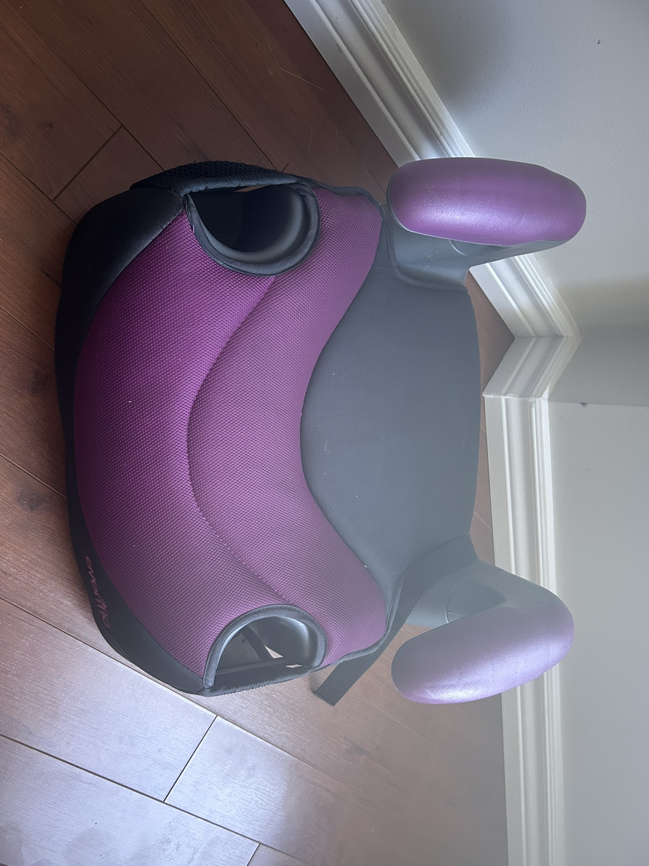 Evenflo Booster Seat - photo 2