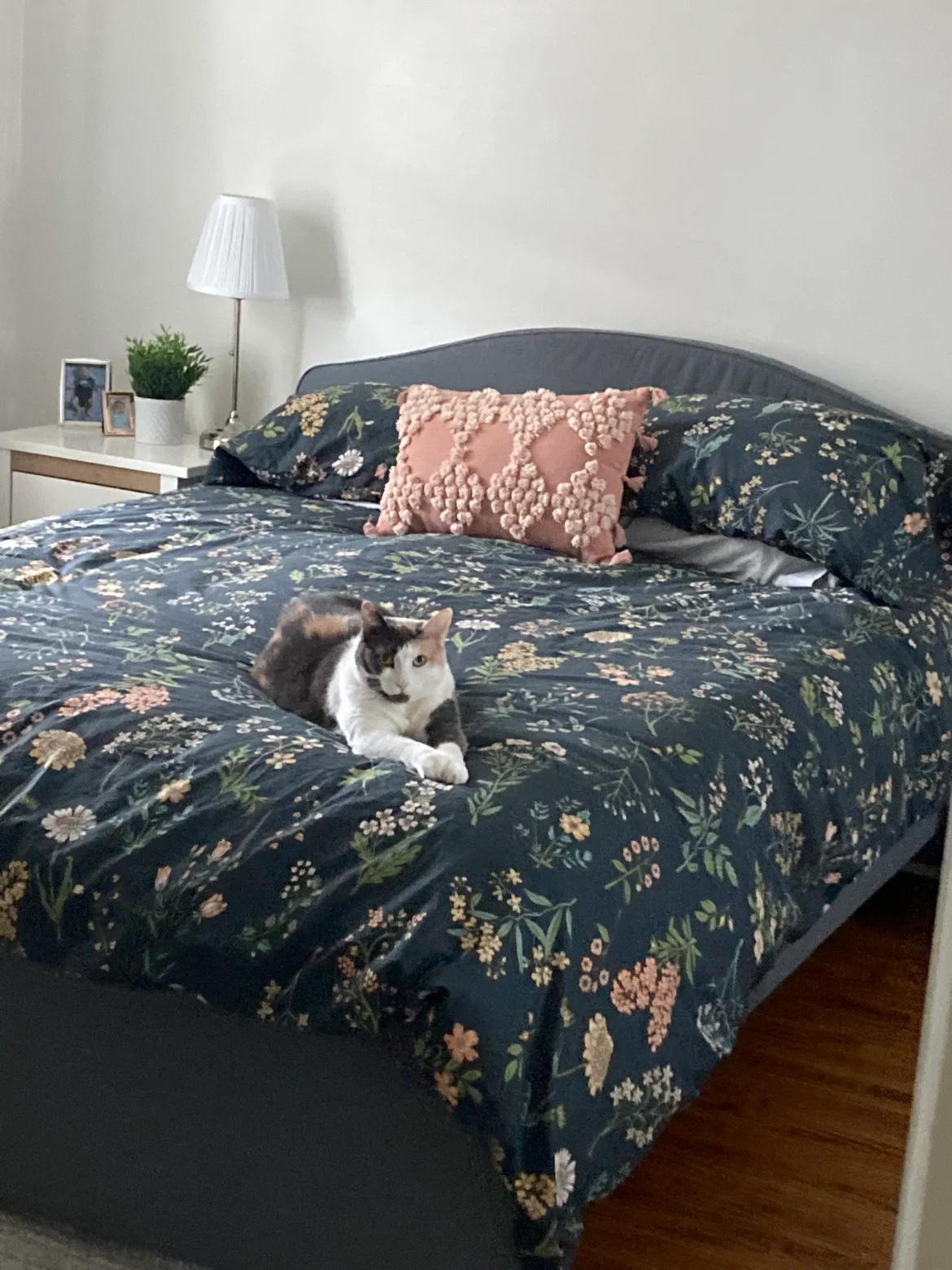 Blush pink, Urban Outfitters throw pillow image indicator(2)