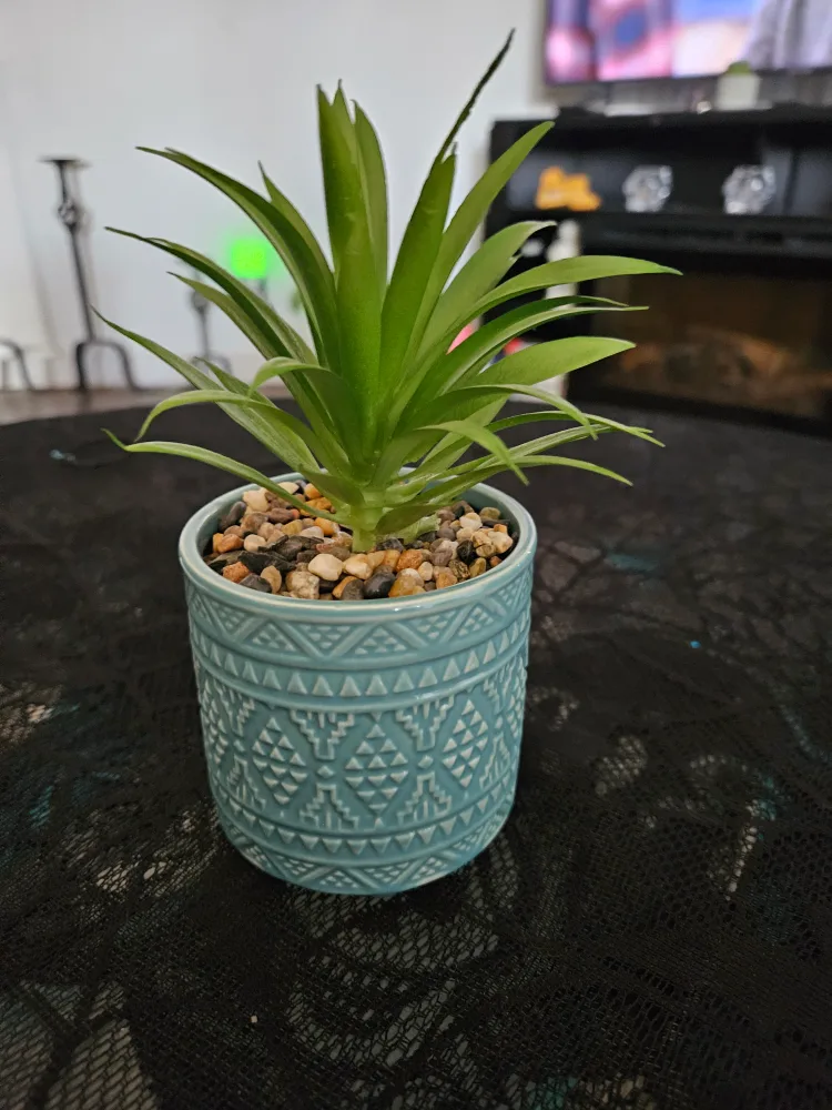 #freecycle  Artificial Plant in Blue Pot thumbnail