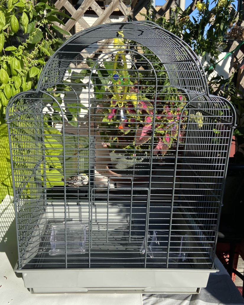 You & Me Parakeet Habitat Bird Cage - photo 3