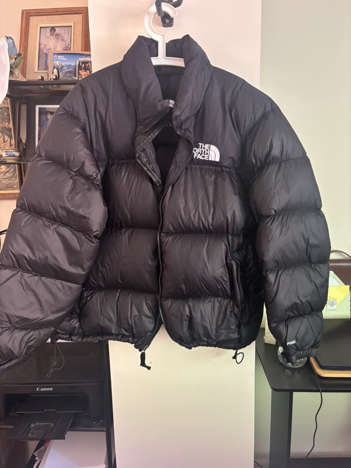 The North Face 700 puffer jacket