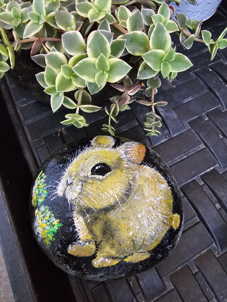 Painted Rock - Bunny