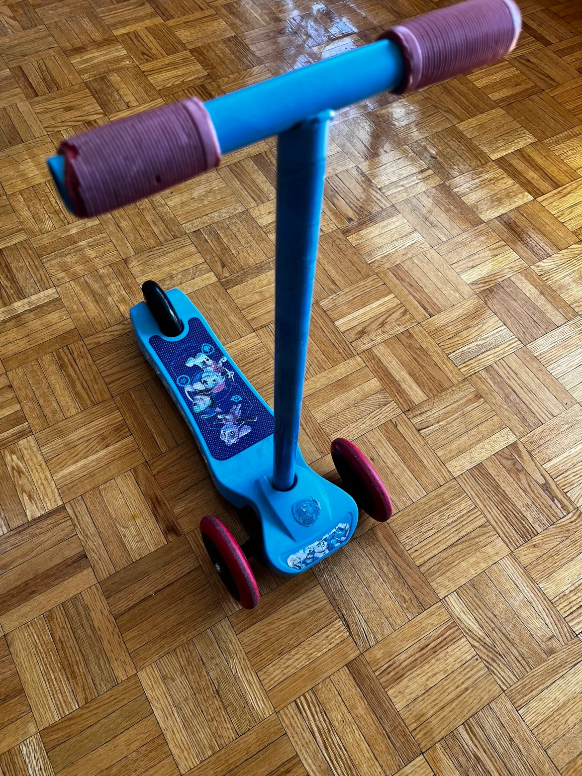 Paw Patrol Scooter image indicator(4)