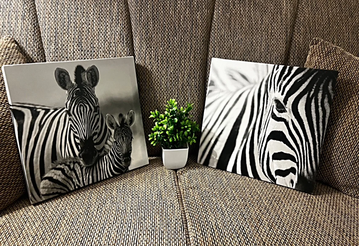 Zebra Canvas Wall Art image indicator(5)