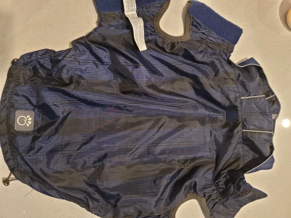 BLUE GF Pet Dog Raincoat - Size XL + Dog Puzzle image indicator(4)