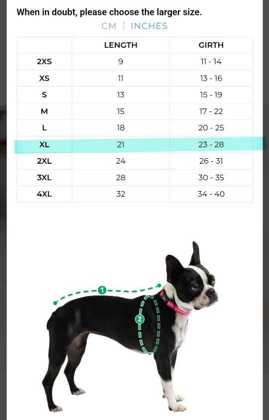 BLUE GF Pet Dog Raincoat - Size XL + Dog Puzzle image indicator(8)