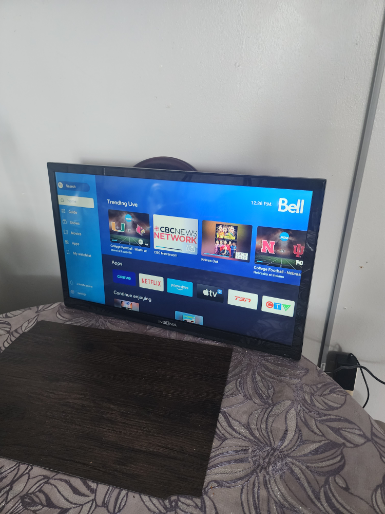 Insignia 32 inch Smart TV