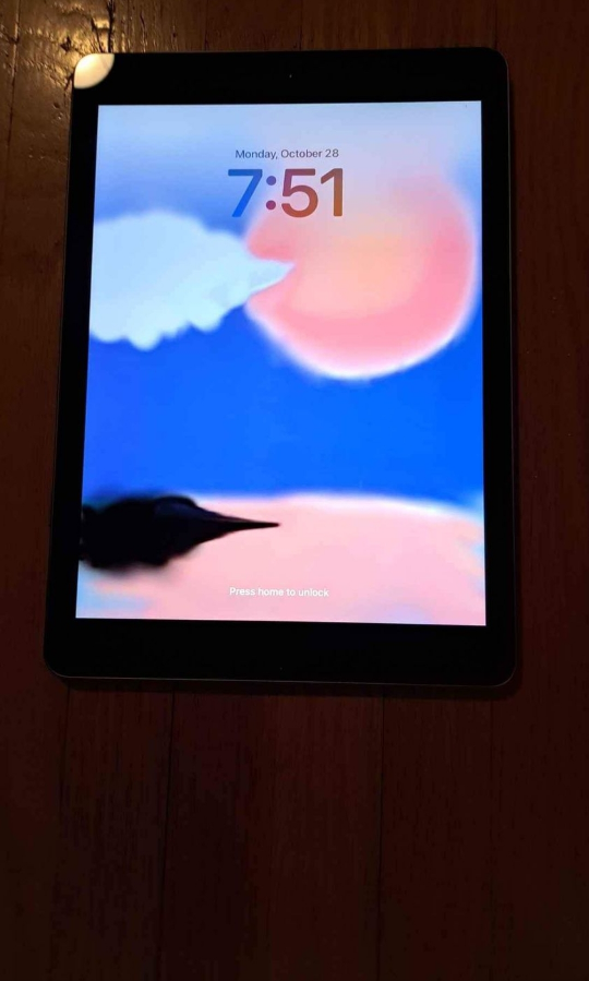 iPad 6th Generation 32 gigabytes - photo 4