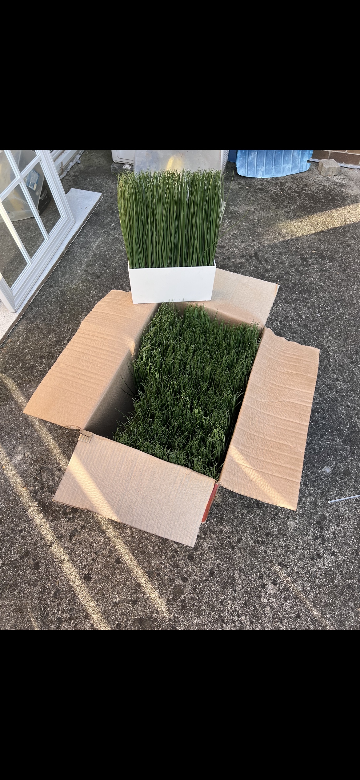 Artificial Grass in Planter