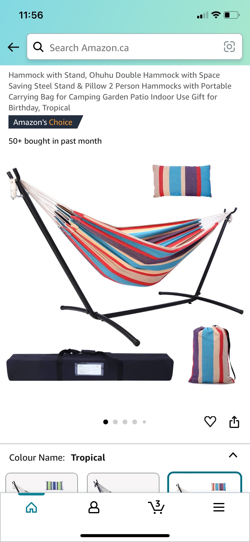 Double Hammock with Stand and Pillow