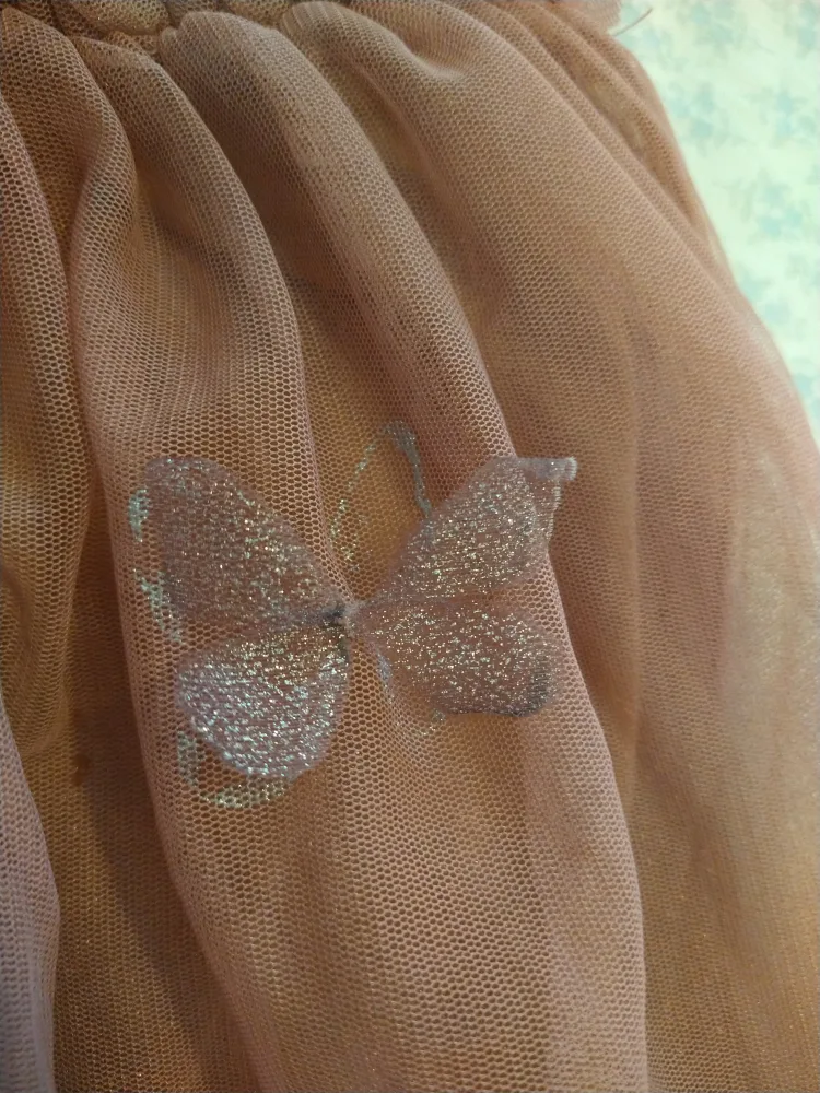 Zara Girls Tulle Skirt Size 13/14 image indicator(3)