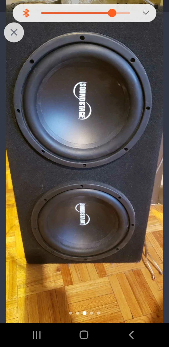 Soundstage Dual 10' Subwoofer - photo 5