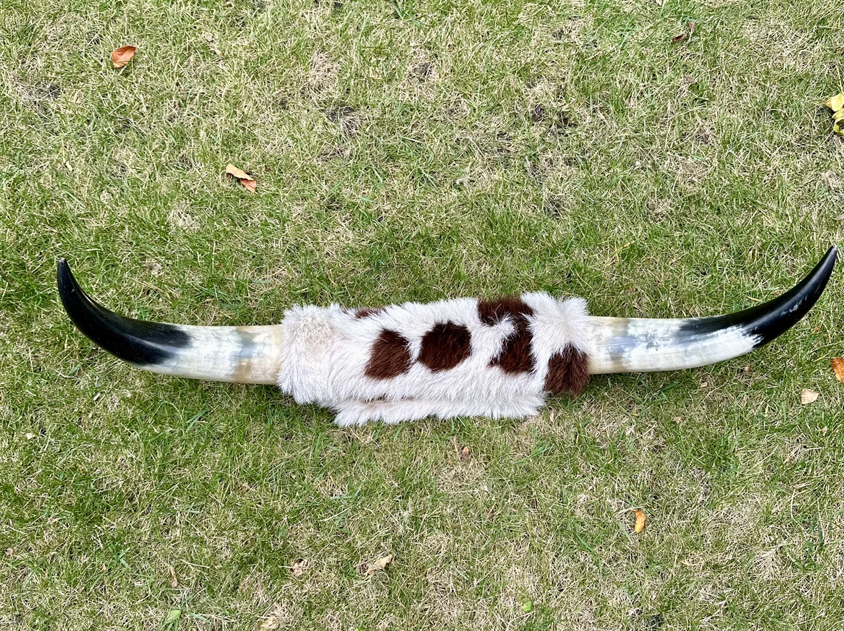 Bull Horns