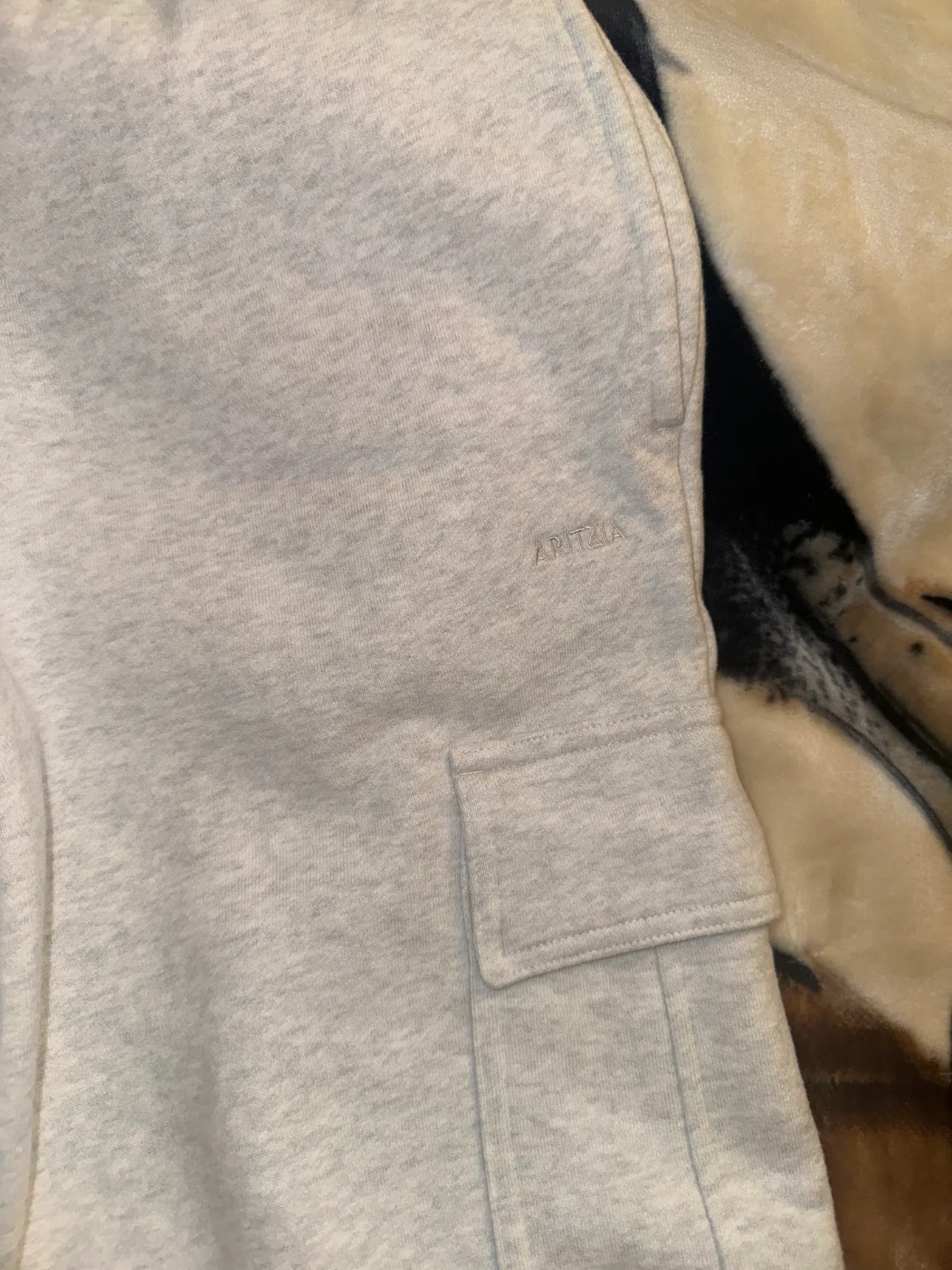 Aritzia Sweatfleece Cargo Pants - Grey image indicator(5)