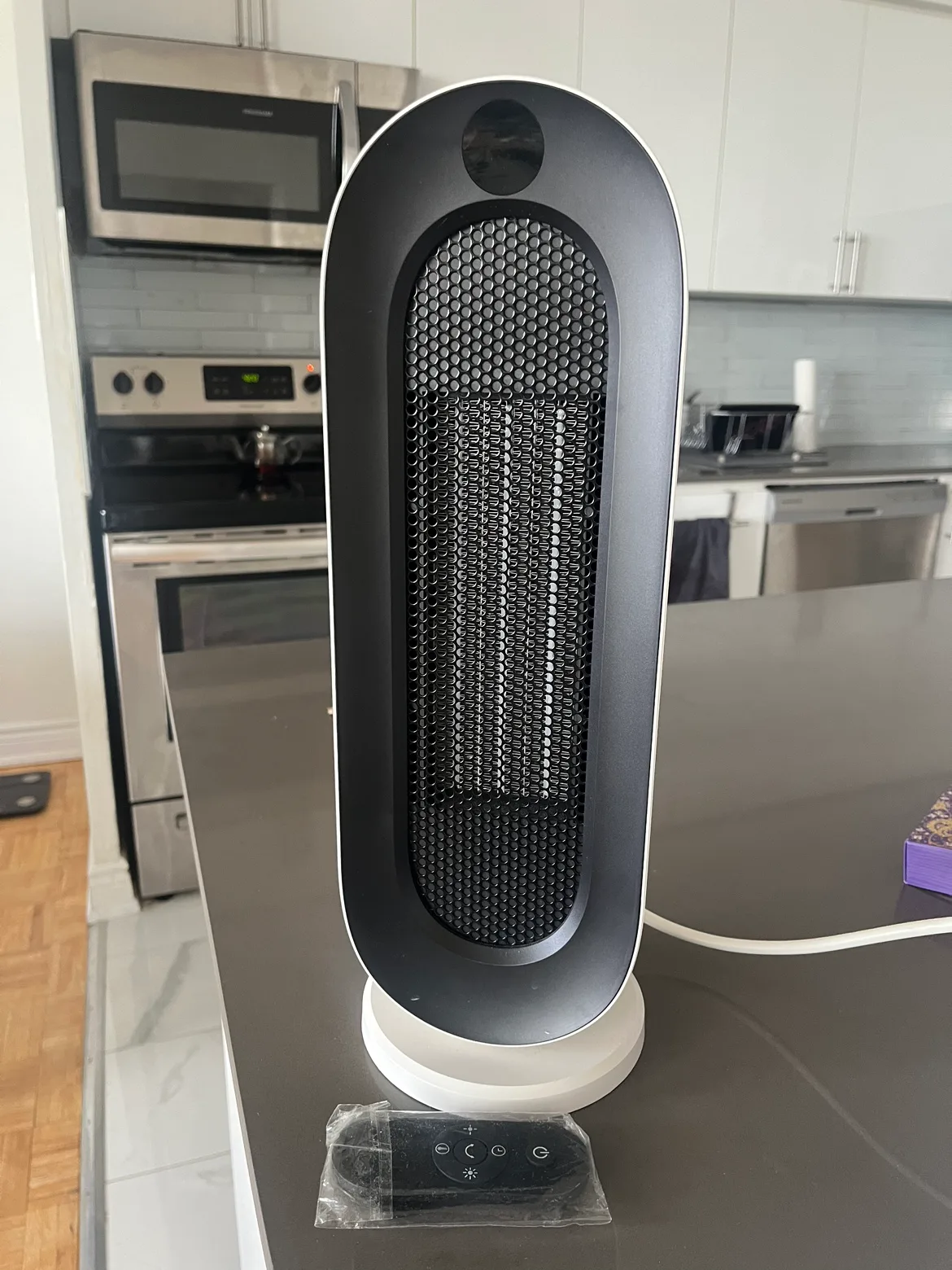 Heater with Remote