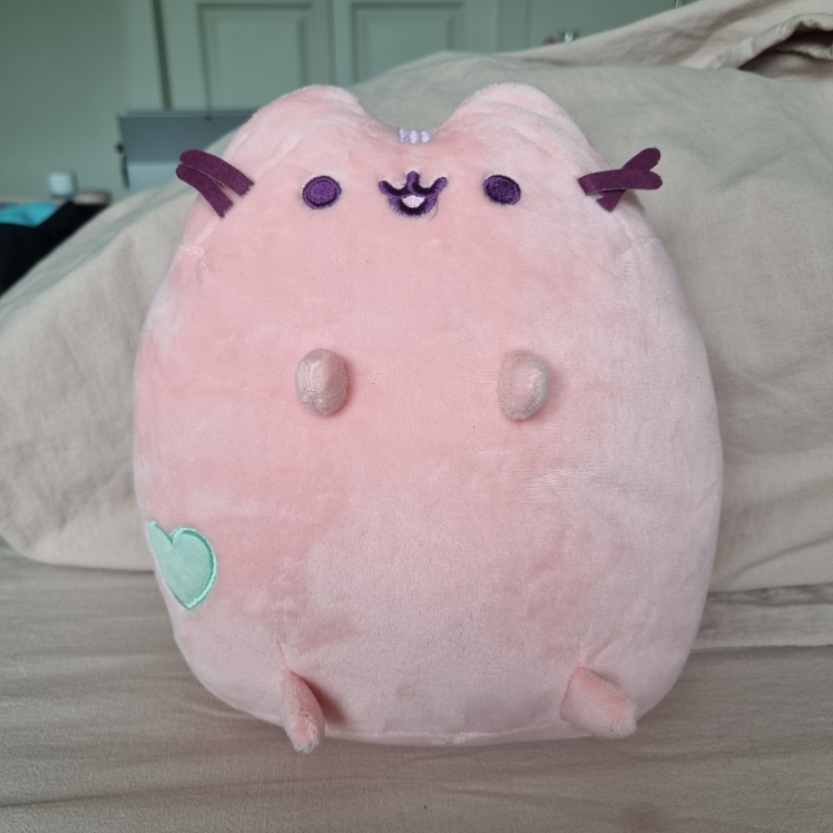 Pink Pusheen cat Plush