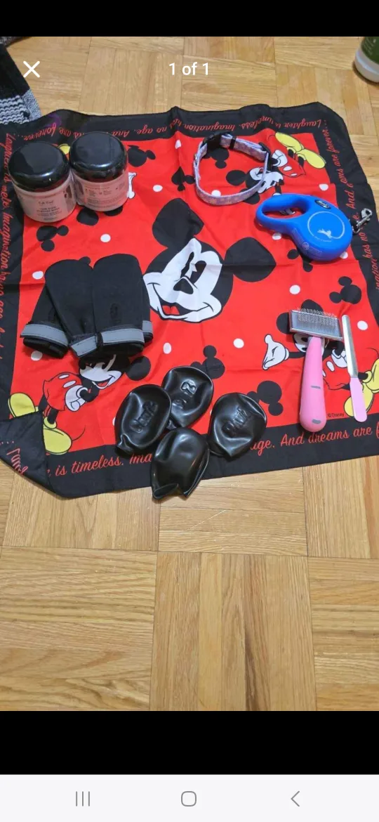 Mickey Mouse Dog Accessories Bundle thumbnail