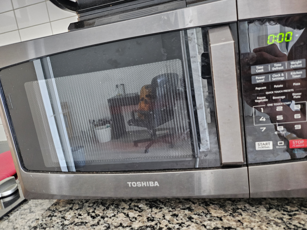 Toshiba EM925A5A-BS Microwave Oven