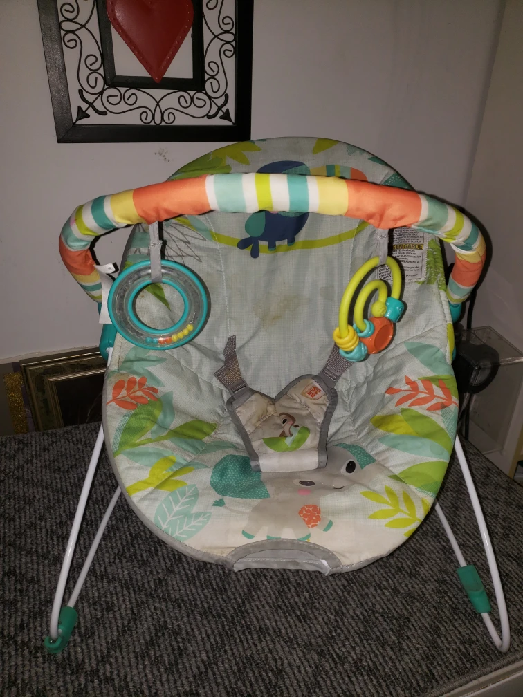 Baby Einstein Bouncer