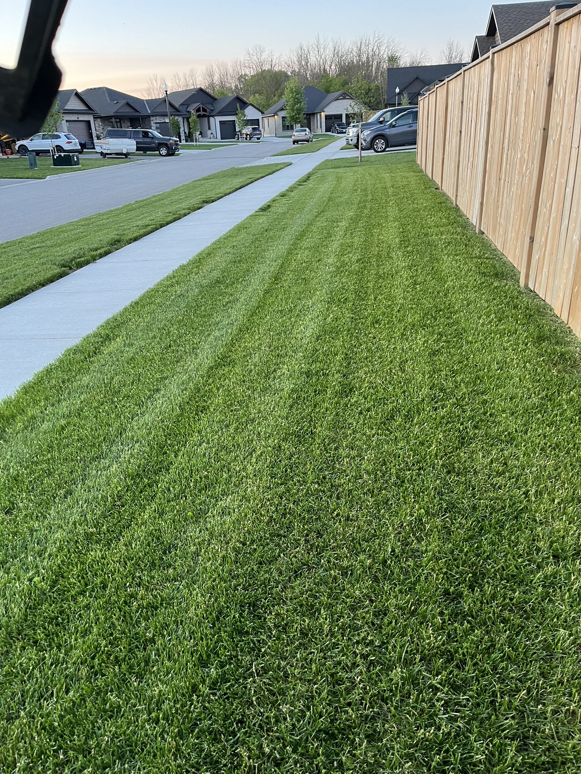 Lawn Aerator