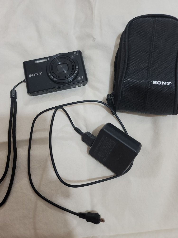 Sony Cyber-shot DSC-W201 Digital Camera