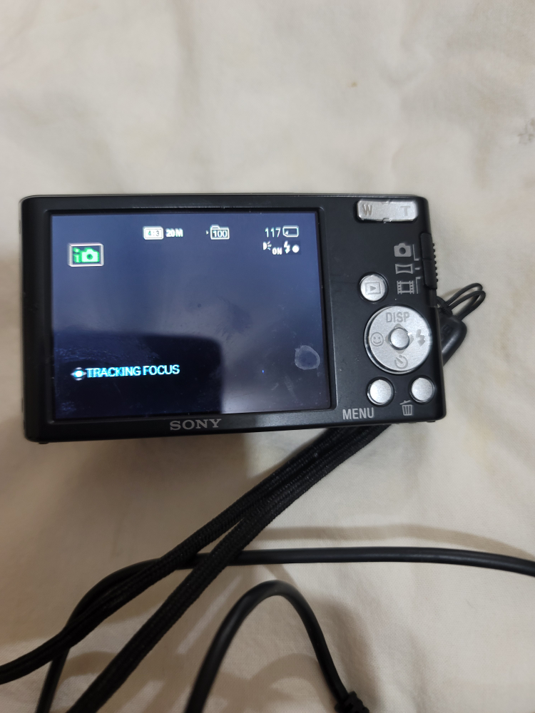 Sony Cyber-shot DSC-W201 Digital Camera - photo 3