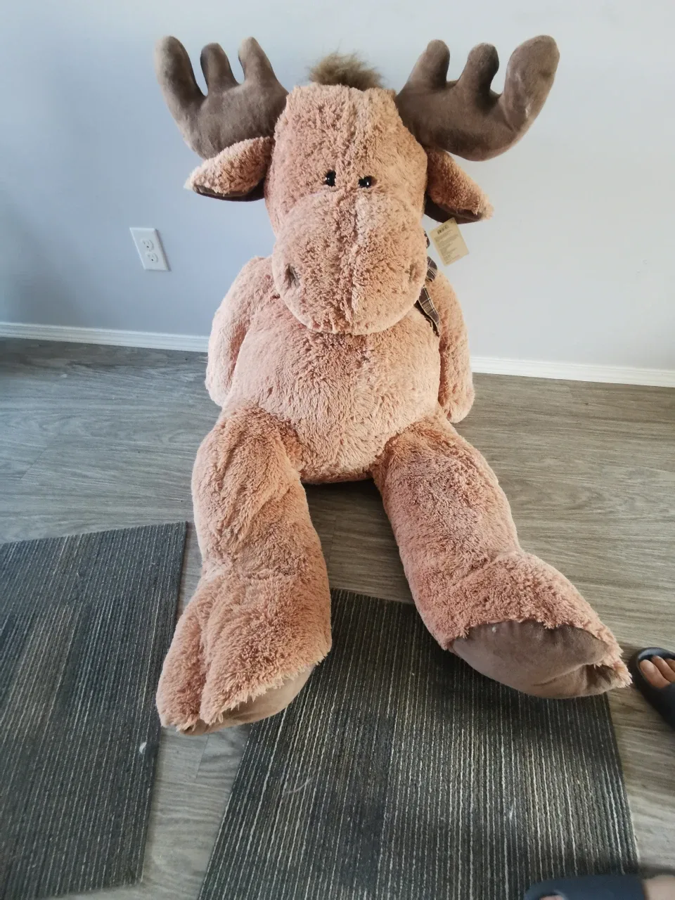 Giant moose stuffed animal costco online