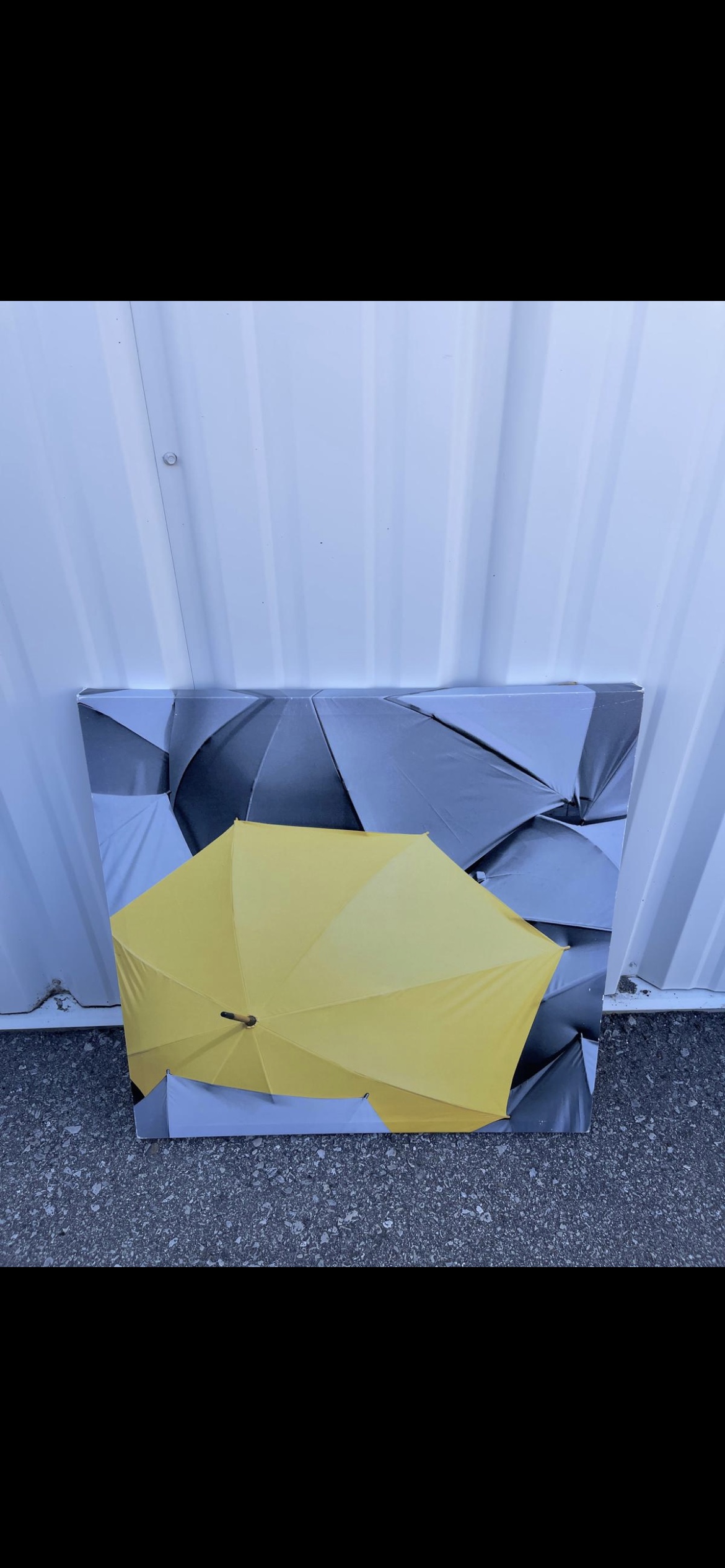 Umbrella Canvas Print