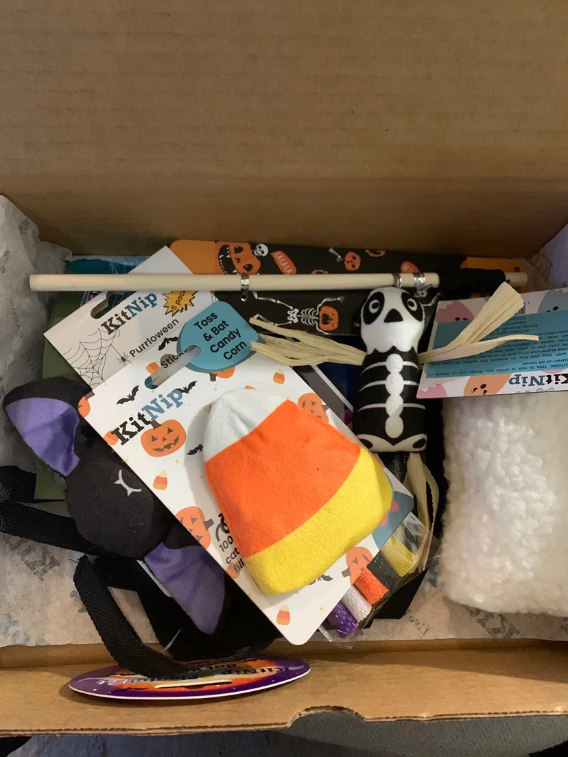 ‼️MUST-GO‼️ declutter - KitNipBox Halloween Cat Box image indicator(5)