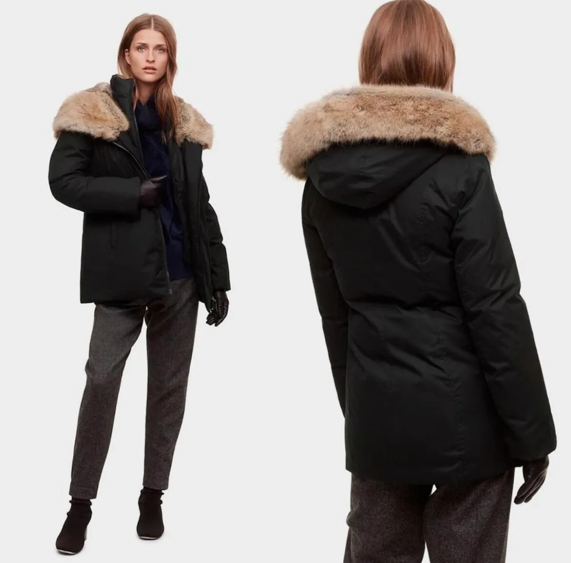 Aritzia Small Parka/Coat (Babaton Harrison) image indicator(2)