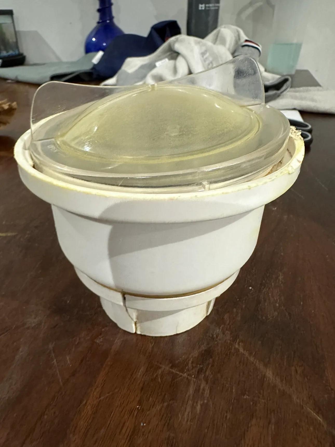 Food Chopper preethi. Everything good sale check listing thumbnail