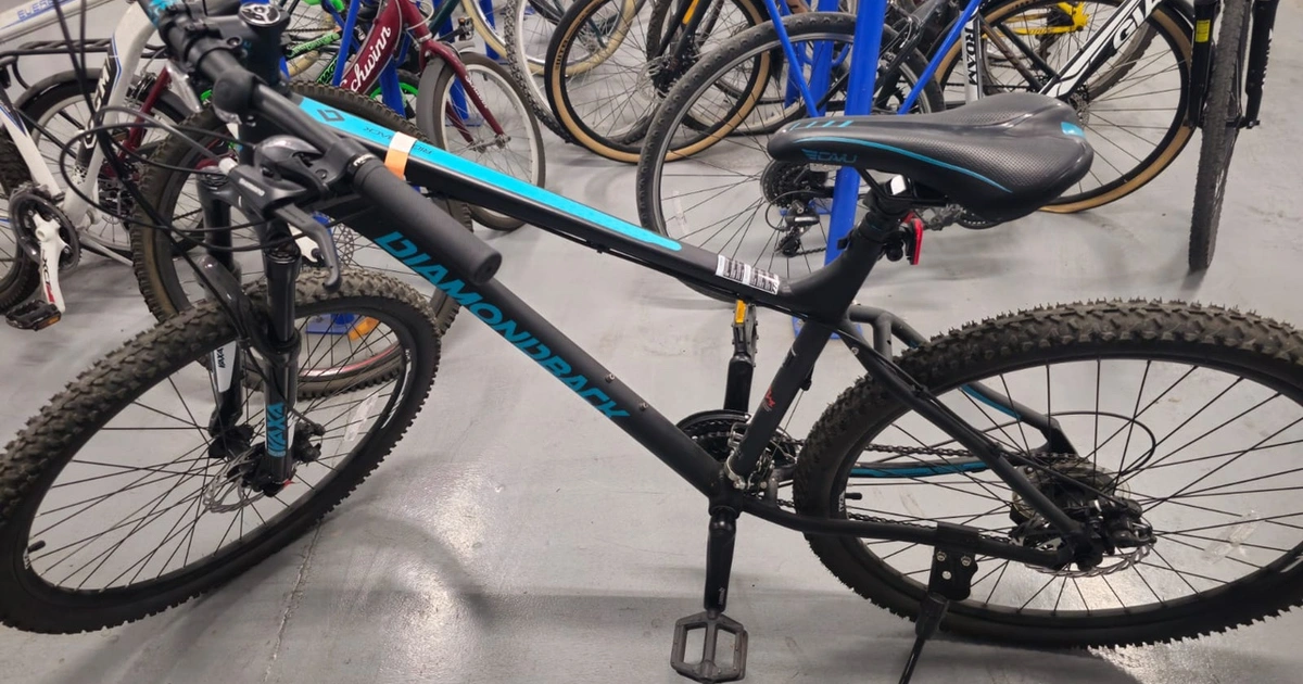 Diamondback Ridgeback Bike Karrot - Main Image