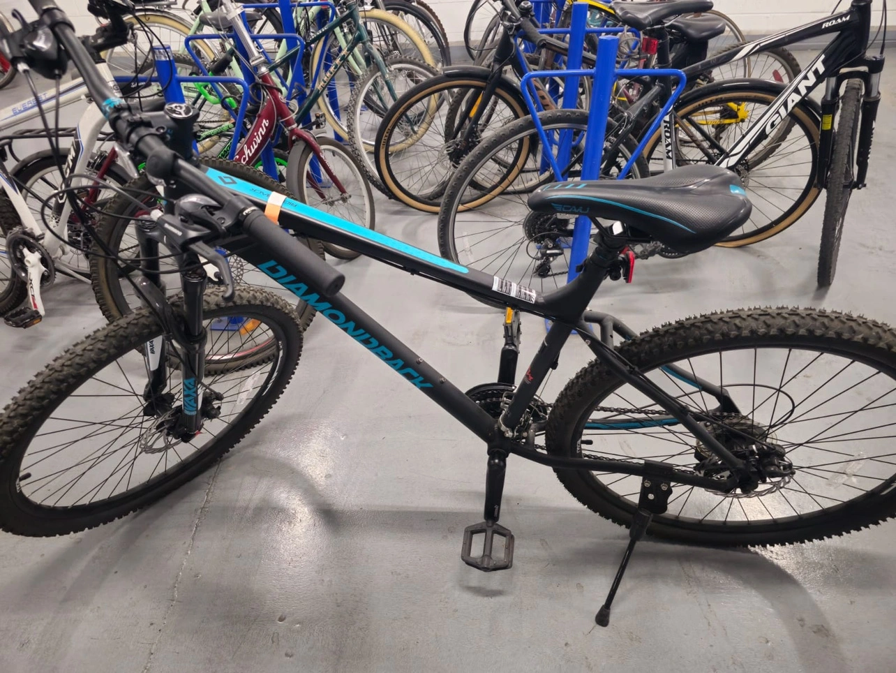 Diamondback Ridgeback Bike Karrot