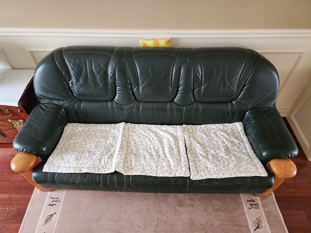 Leather Sofa