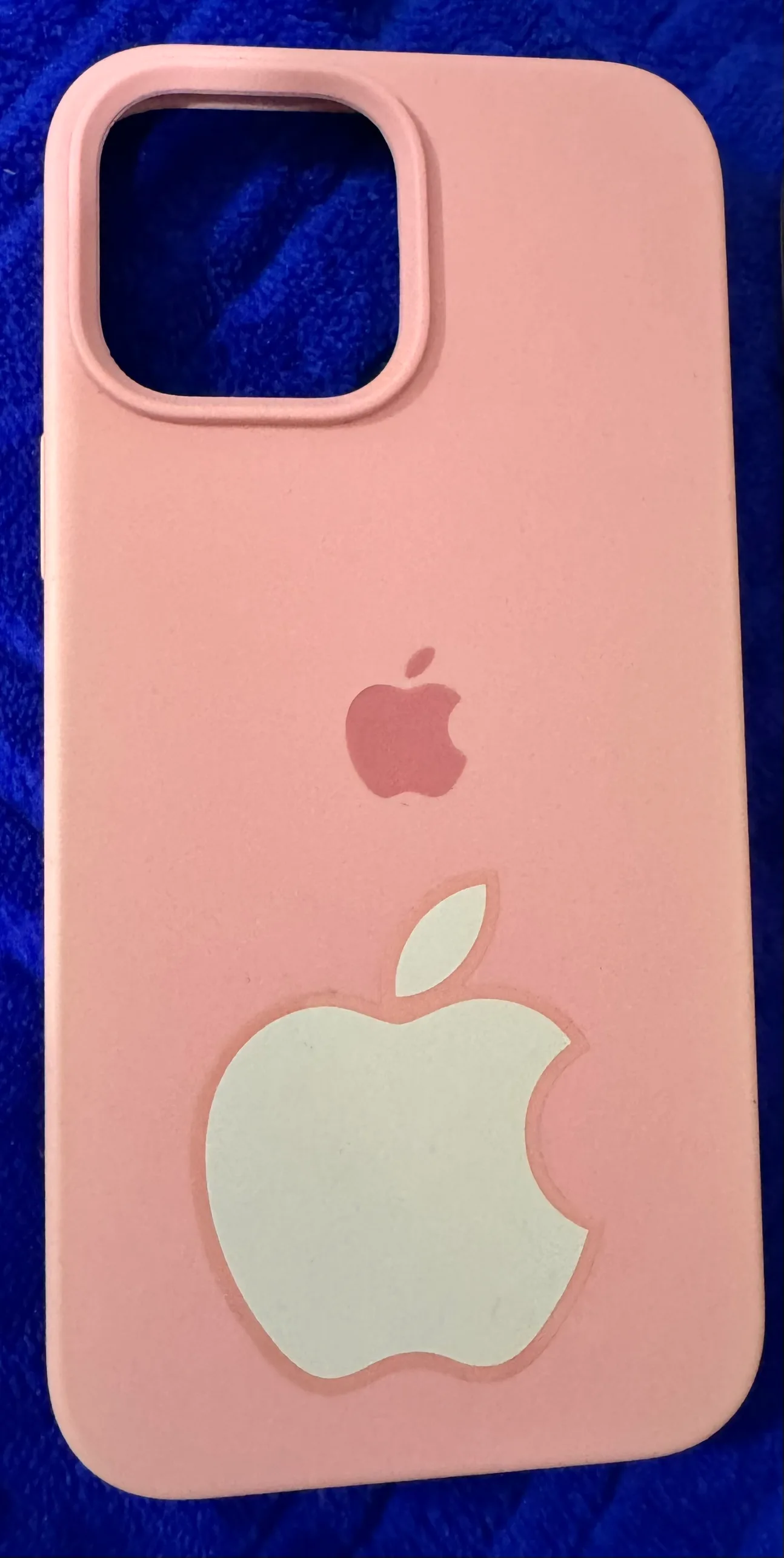 iPhone 13 Pro Max Case image indicator(3)