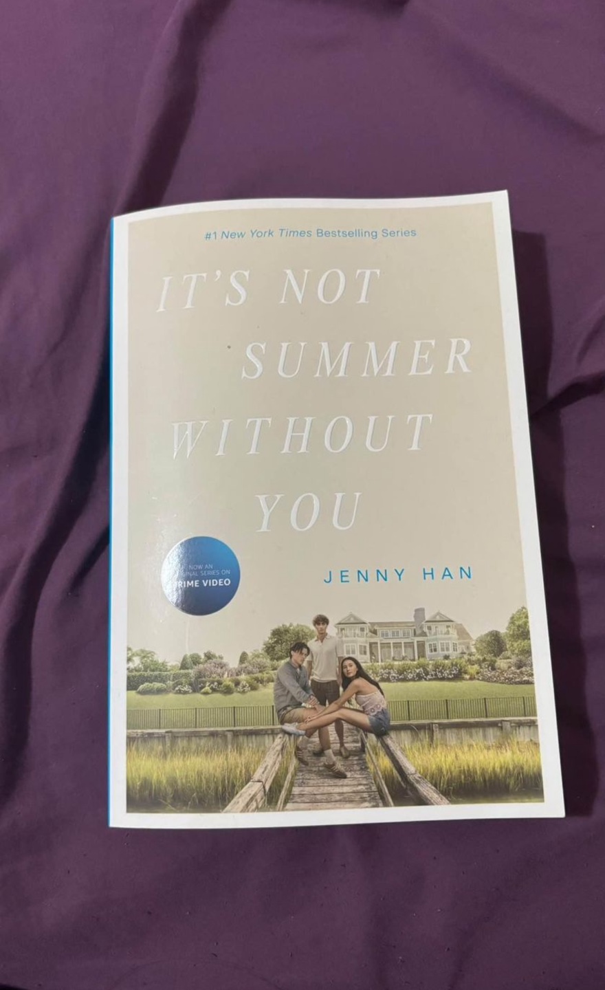 The Summer I Turned Pretty & It's Not Summer Without You Book - photo 4