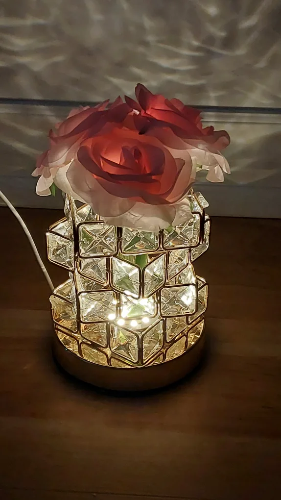 BNIB USB Plug-In LED Table Lamp with Color Changing Light, Rose image indicator(3)