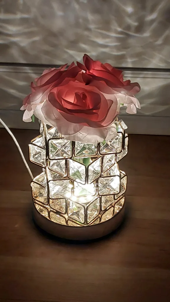 BNIB USB Plug-In LED Table Lamp with Color Changing Light, Rose image indicator(4)