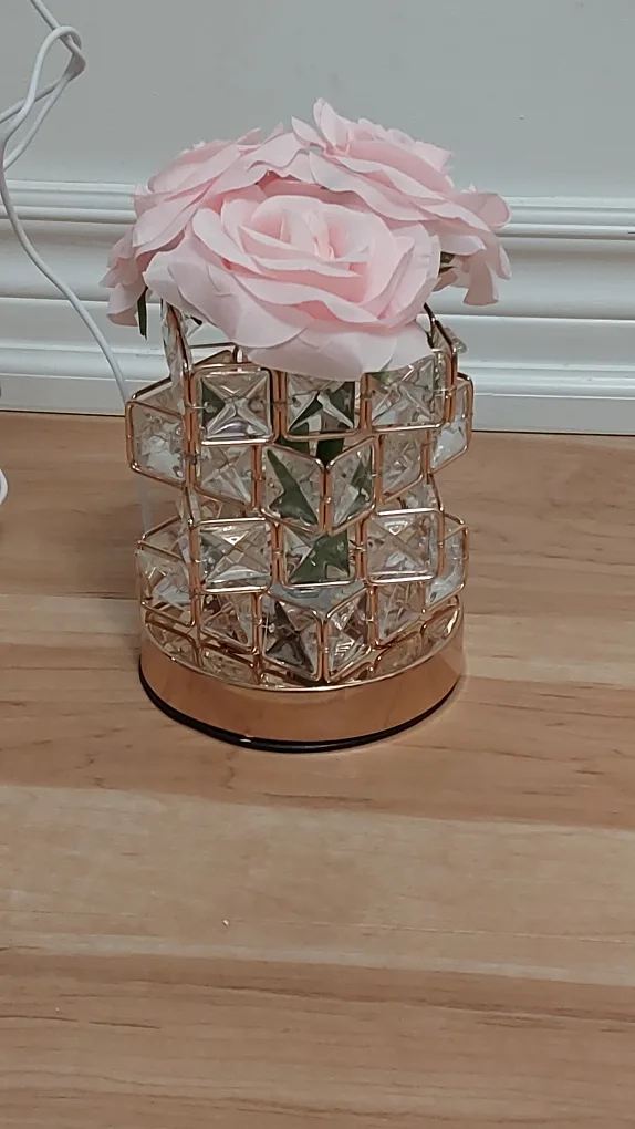 BNIB USB Plug-In LED Table Lamp with Color Changing Light, Rose image indicator(5)