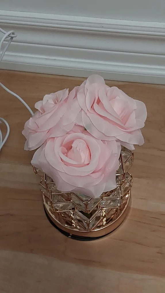 BNIB USB Plug-In LED Table Lamp with Color Changing Light, Rose image indicator(6)