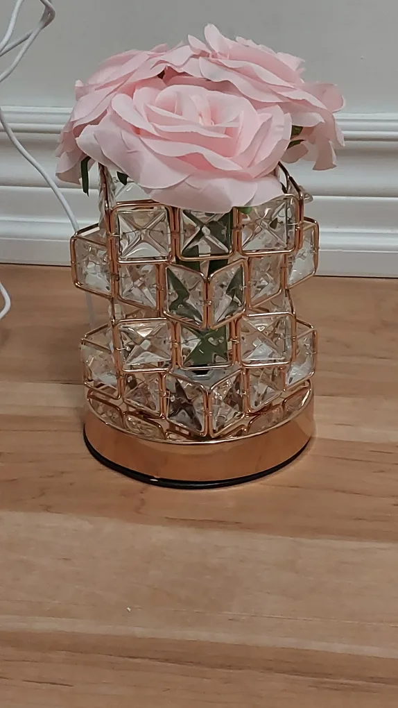 BNIB USB Plug-In LED Table Lamp with Color Changing Light, Rose image indicator(7)