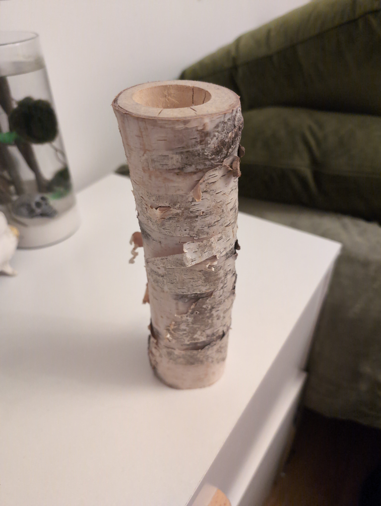 Birch Bark tea light holder #freecycle
