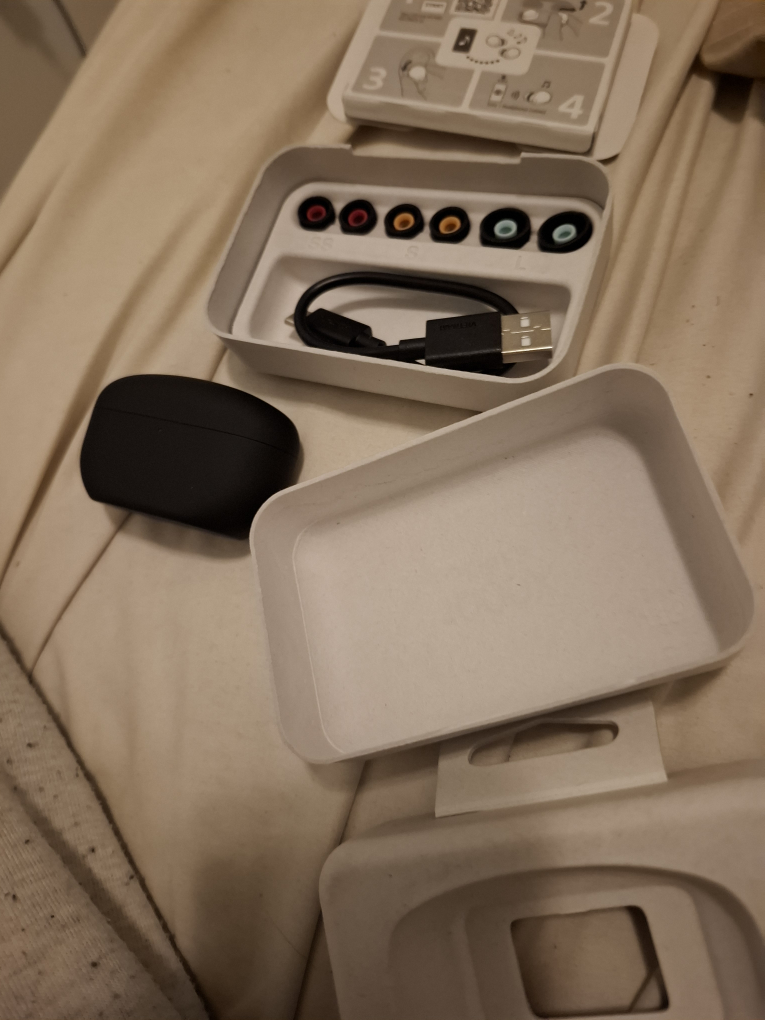 Sony WF-1000XM4 Wireless Earbuds - photo 5