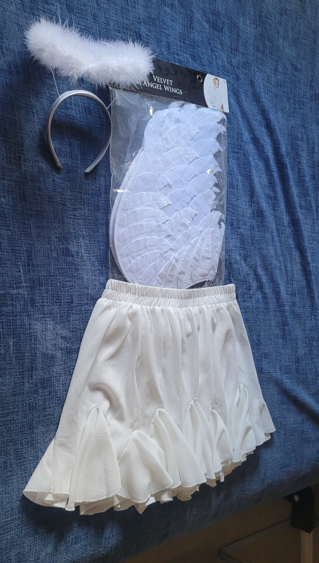 Halls Costume  ---- Angel - photo 2