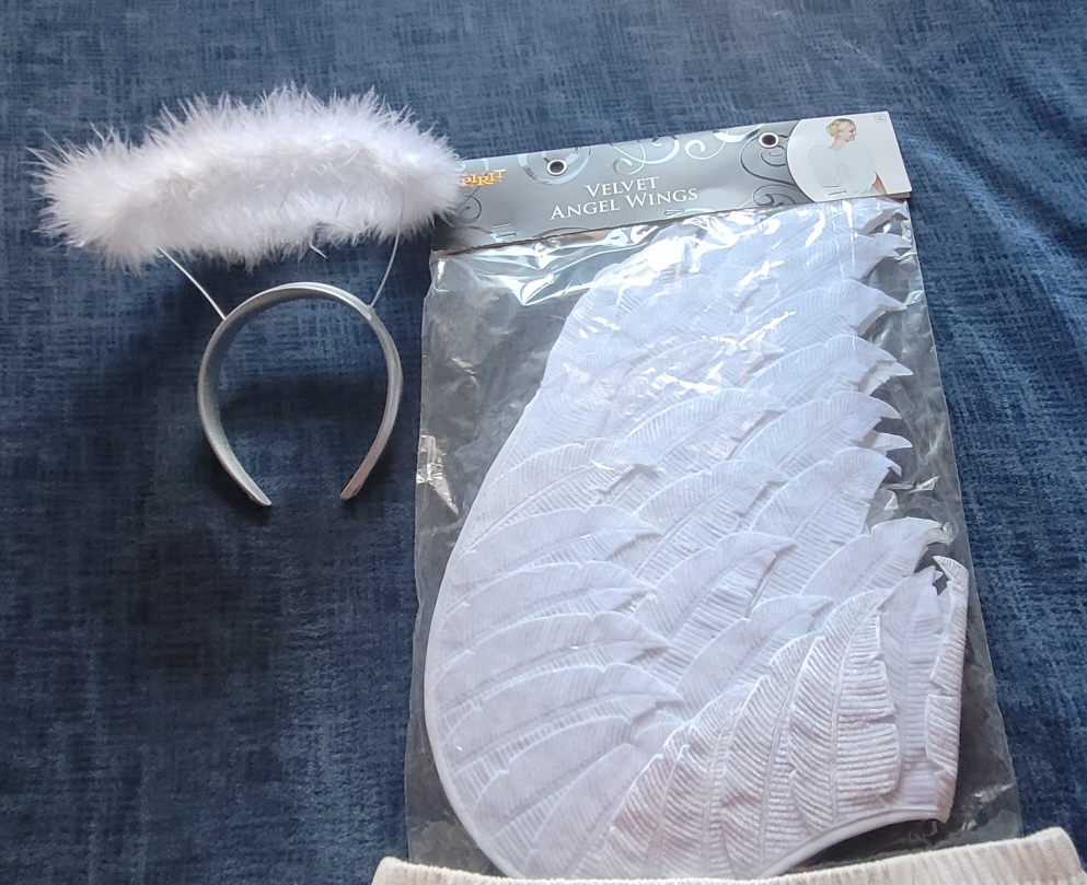 Halls Costume  ---- Angel - photo 3