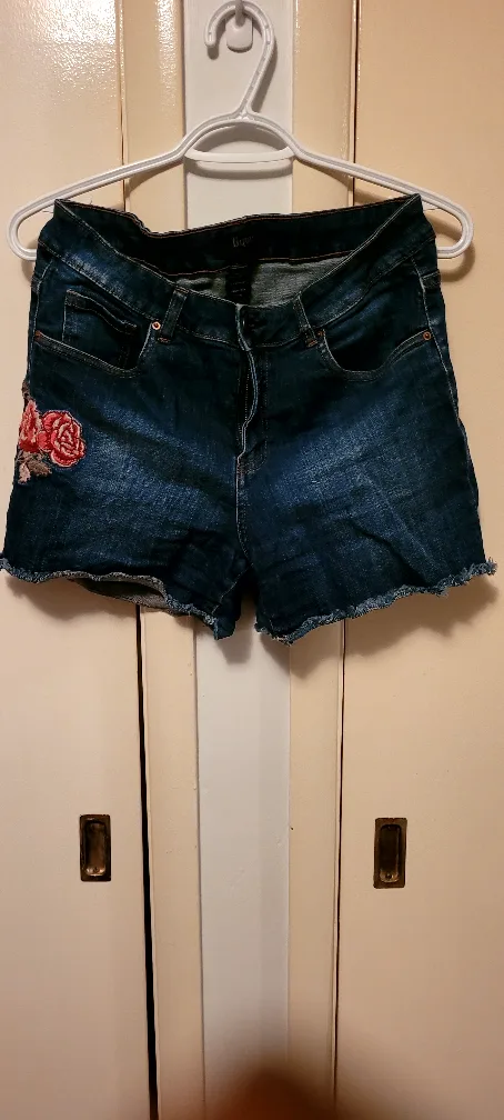 Denim Shorts with Floral Embroidery