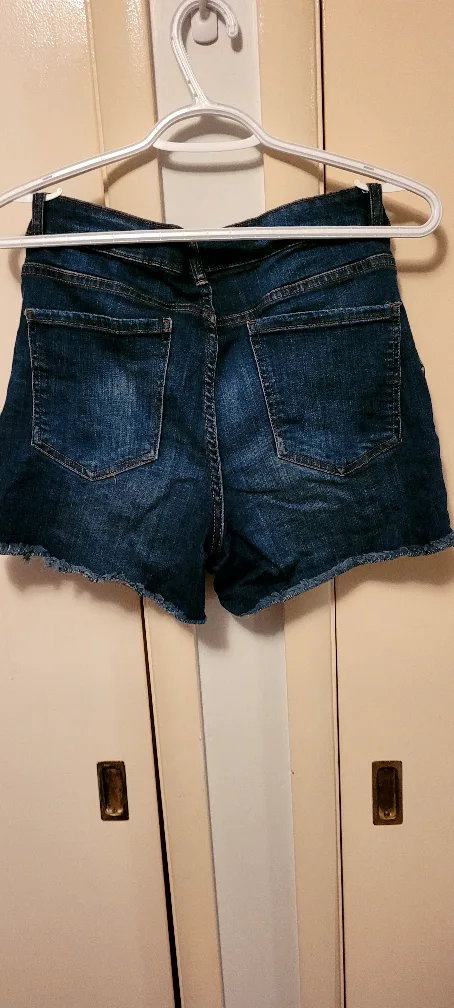 Denim Shorts with Floral Embroidery image indicator(4)