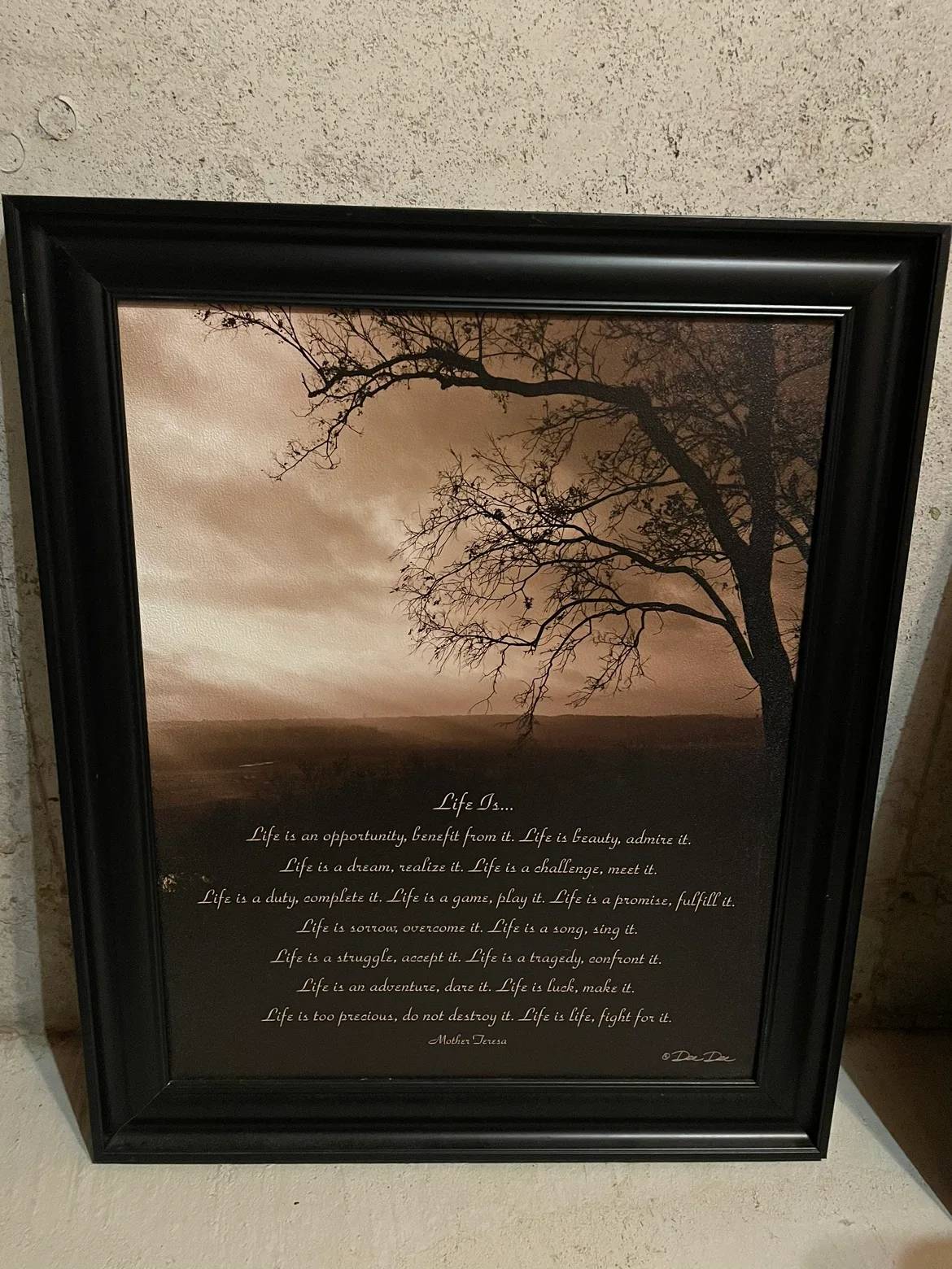Life is... Framed Art thumbnail