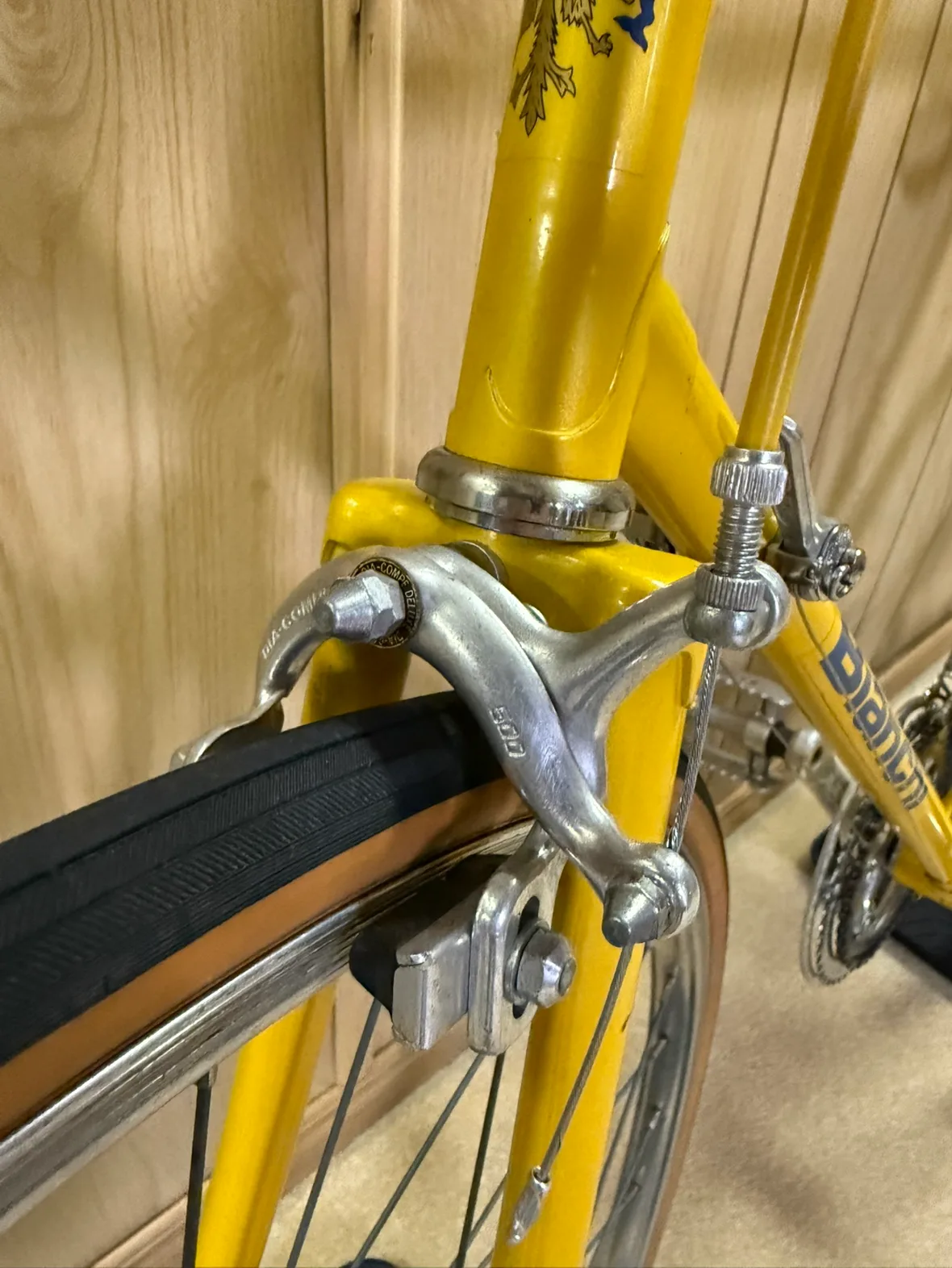 Vintage Bianchi Bike image indicator(6)